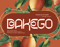 BAKEGO - Unique & Modern Typeface
