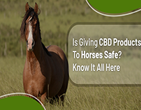 CBD oil for anxious horses