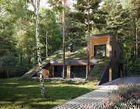 Smart Passive House by Snegiri Architects