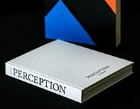 Perception. Book by eLSeed