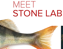 2017 Stone Laboratory Campaign