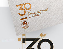 logo 30 anniversary