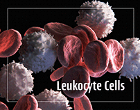 Leukocyte Cells