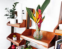 Heliconia Shelves