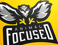 Animal Focused Owl eSports Logo Project
