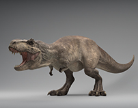 T-Rex 3d animations