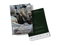 Report Design | BEEF ALLIANCE VALUE PROPOSITION