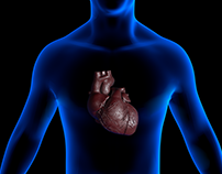 Medical Art (3D) Heart beat