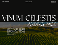 Vinum Celestis | Landing page & Branding