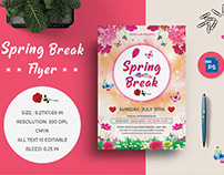 Spring Break Party Flyer Title Design