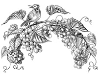 Grapes twig with little bird