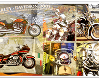 Harley Davidson Experiment