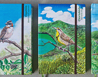 Libretas de notas - ilustraciones de aves colombianas