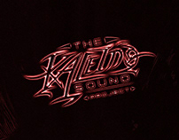 THE KALEIDO SOUND PROJECT
