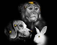 Deutscher Tierschutzbund – Tierversuche