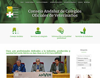Web del Consejo Andaluz de Veterinarios