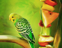 Fruit Parrot NFT