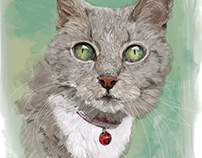 Digitally drawn & hand-painted pet portraits