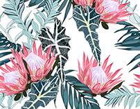 Hand drawn tropical summer protea seamless pattern.