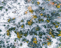 Drone photography - Swedish forest winter