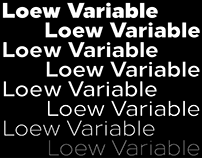 Loew Variable – Type Family & Microsite
