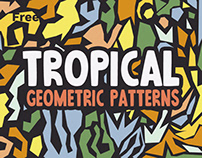 Free Abstract Tropical Patterns and Minimalistic Vector