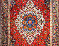 Rug Source Myers Park