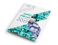 NCSI Annual report 2017