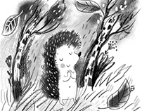 Illustrations for book about Hedgehogs - part 1