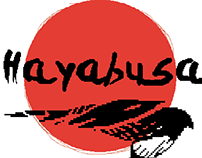 Hayabusa: The Challenge