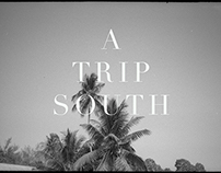 A Trip South