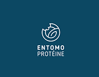 Entomo Protéine