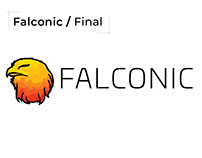 Falconic - Web Dev company