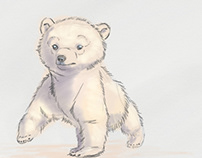 Baby Polar bear
