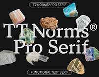 TT Norms® Pro Serif