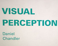 Visual Perception Book