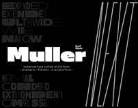 Muller Next Type System