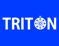 Triton Security Company