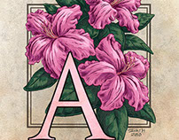 An Alphabet of Flowers