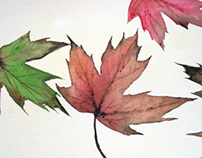 Freshly painted: autumn leaves