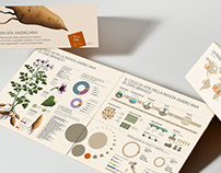 Infodesign for local agricolture