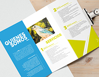 Creative brochure design | Branding