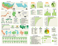 Infographics, Data Visualization, Business Insight