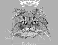Duchess Drawing