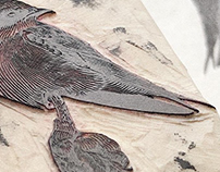 Swallow, Wood Engraving