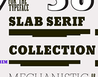 Slab Serif Collection by URW++