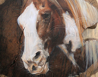 Equestrian Art