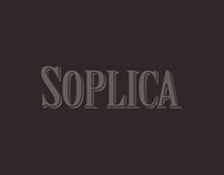 Poster of Soplica Drink