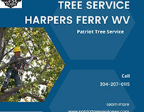 Best Tree Service in Harpers Ferry WV