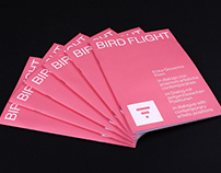 Birdflight, Erika Giovanna Klien – Museion Bolzano